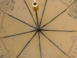 Зонт женский Amico, арт.709-6_product